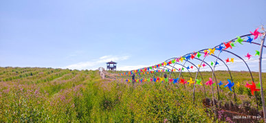 戈宝红麻花海景区