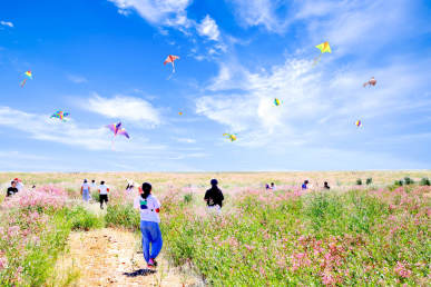 戈宝红麻花海景区