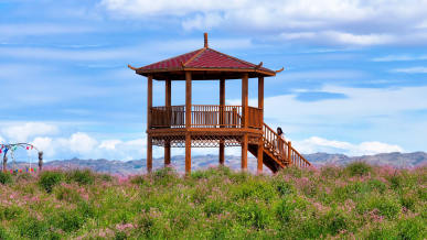 戈宝红麻花海景区