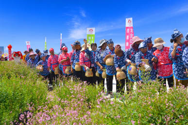 戈宝红麻花海景区