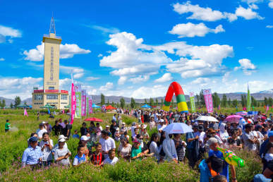 戈宝红麻花海景区