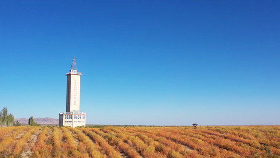 戈宝红麻放异彩:阿勒泰特色化妆品原料研发创新开启产业新篇章(图5) 652f9ce8-d42f-44a6-9fa2-e93d5eb8a310.png