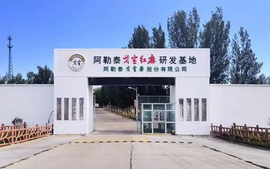 戈宝红麻放异彩:阿勒泰特色化妆品原料研发创新开启产业新篇章(图6) 265749bf-23e4-45b3-8a46-e330922c3996.jpg