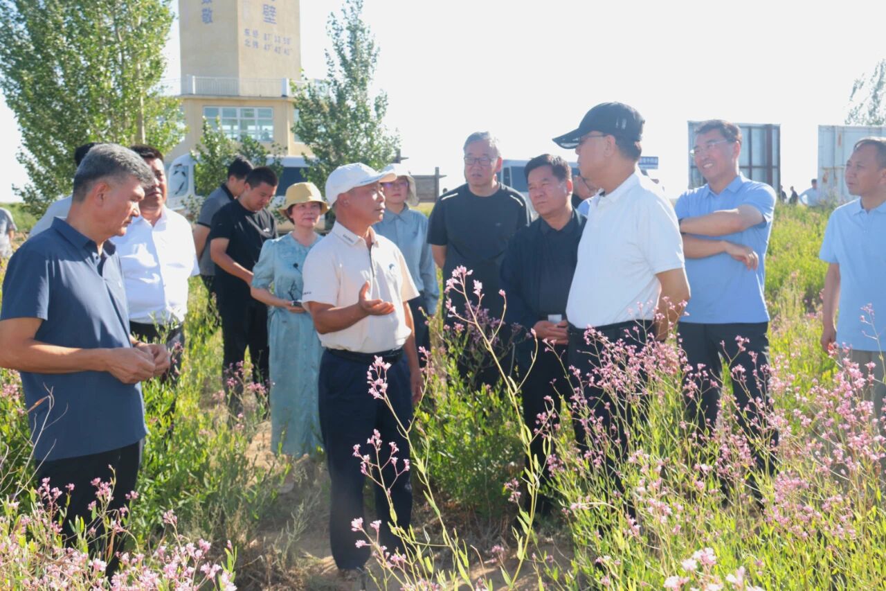 全国人大常委会副委员长武维华视察戈宝红麻花海景区(图1) 9f361548-8c40-4ce1-8ff1-7bedbcb532cc.jpg