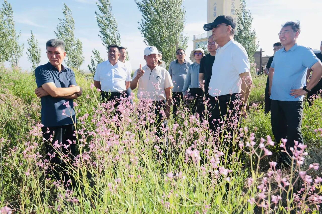 全国人大常委会副委员长武维华视察戈宝红麻花海景区(图2) 1bc2ec5f-ebc2-41b1-a325-d234eb69674a.jpg