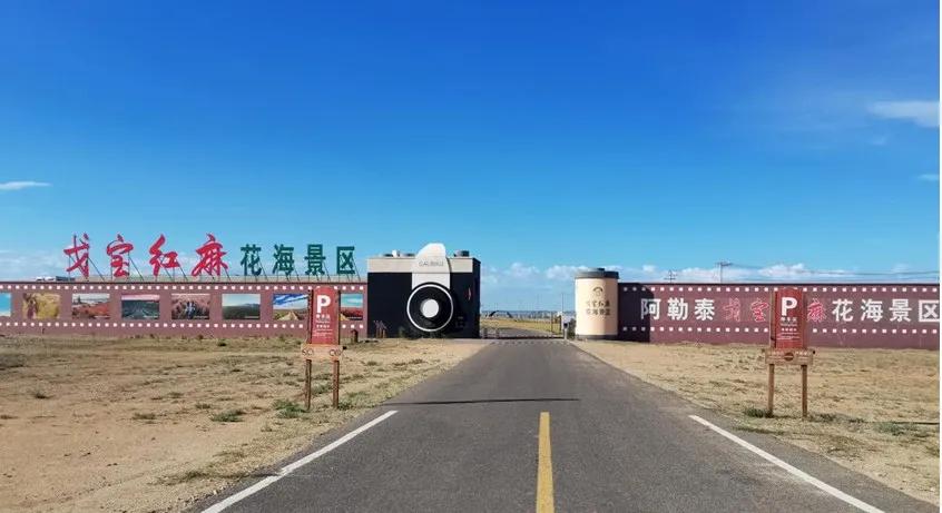 喜报!戈宝荣获深圳健康产业“匠心品质案例”和“产品技术创新案例” 两项殊荣(图8) d6a19fed-ff58-4b96-b165-5ea64d1331dd.jpg