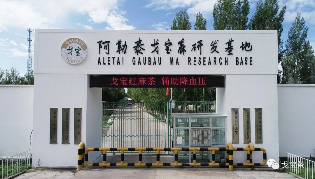 戈宝正式挂牌运行 “新疆罗布麻工程技术研究中心（红麻）”(图3)